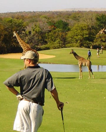 Golfing Safaris